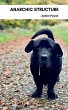 Anarchic Structure - Bild 1