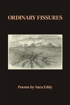 Ordinary Fissures - Eddy, Sara