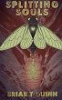 Splitting Souls - Bild 1