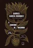 A caminho de Macondo (eBook, ePUB)