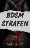 BDSM Strafen eine Anregung für Beginner   Inklusive Sklavenvertrag (eBook, ePUB)