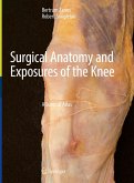 Surgical Anatomy and Exposures of the Knee (eBook, PDF)