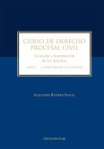 Curso de derecho procesal civil (eBook, ePUB)