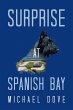 Surprise at Spanish Bay (eBook, ePUB) - Bild 1