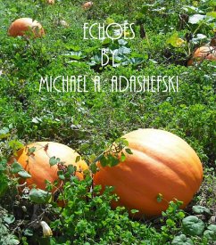 Cover Echoes (eBook, ePUB)