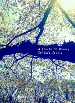 A Wealth Of Memory (eBook, ePUB) - Sonola, Kehinde