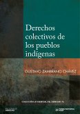 Derechos colectivos de los pueblos indígenas (eBook, ePUB)