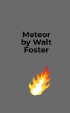 Meteor! (eBook, ePUB)