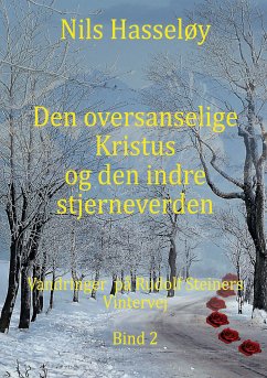 Den oversanselige Kristus og den indre stjerneverden (eBook, ePUB) - Hasseløy, Nils