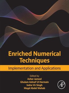 Enriched Numerical Techniques (eBook, ePUB)