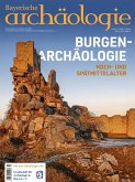 Burgenarchäologie (eBook, PDF)