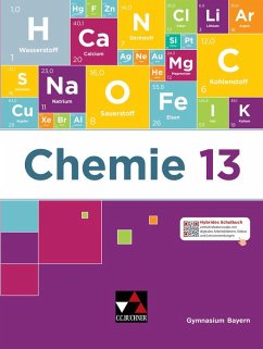 Cover Chemie Bayern 13