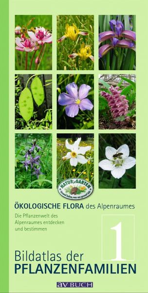 Ökologische Flora des Alpenraumes, Band 1 (eBook, ePUB) Ökologische Flora des Alpenraumes, Band 1 (eBook, ePUB)