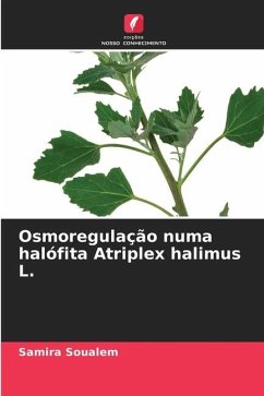 Osmoregulação numa halófita Atriplex halimus L. - SOUALEM, Samira