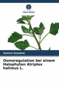 Osmoregulation bei einem Halophyten Atriplex halimus L. - SOUALEM, Samira