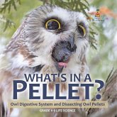 What's in a Pellet? Owl Digestive System and Dissecting Owl Pellets   Grade 6-8 Life Science