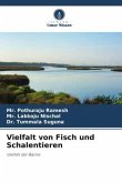 Vielfalt von Fisch und Schalentieren