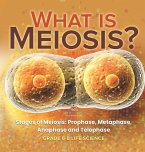 What is Meiosis? Stages of Meiosis, Prophase, Metaphase, Anaphase and Telophase Grade 6-8 Life Science What is Meiosis? Stages of Meiosis, Prophase, Metaphase, Anaphase and Telophase Grade 6-8 Life Science