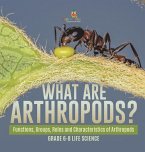 What are Arthropods? Functions, Groups, Roles and Characteristics of Arthropods   Grade 6-8 Life Science