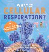 What is Cellular Respiration? Process,... - Bild 1