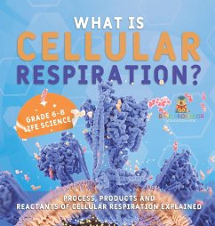 What is Cellular Respiration? Process, Products and Reactants of Cellular Respiration Explained   Grade 6-8 Life Science - Baby