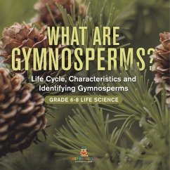 What are Gymnosperms? Life Cycle, Characteristics and Identifying Gymnosperms   Grade 6-8 Life Science - Baby