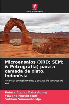 Microensaios (XRD; SEM; & Petrografia) para a camada de xisto, Indonésia - Maha Agung, Putera Agung;Mursid Mufti, Yuwono;Sumomihardjo, Sutikno