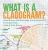 What is a Cladogram? Examining... - Bild 1