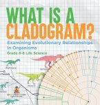 What is a Cladogram? Examining Evolutionary Relationships in Organisms   Grade 6-8 Life Science