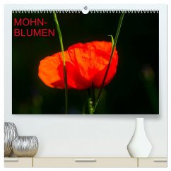 Mohnblumen (hochwertiger Premium Wandkalender 2025 DIN A2 quer), Kunstdruck in Hochglanz