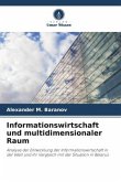 Informationswirtschaft und multidimensionaler Raum