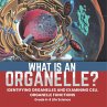 What is an Organelle? Identifying... - Bild 1