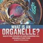What is an Organelle? Identifying Organelles and Examining Cell Organelle Functions   Grade 6-8 Life Science