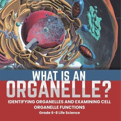 What is an Organelle? Identifying Organelles and Examining Cell Organelle Functions   Grade 6-8 Life Science - Baby