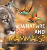What are Birds and Mammals? Functions,... - Bild 1