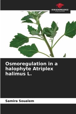 Osmoregulation in a halophyte Atriplex halimus L. - SOUALEM, Samira