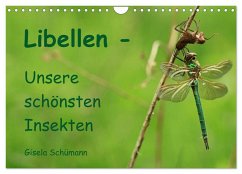 Libellen - Unsere schönsten Insekten (Wandkalender 2025 DIN A4 quer), CALVENDO Monatskalender