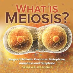 What is Meiosis? Stages of Meiosis, Prophase, Metaphase, Anaphase and Telophase   Grade 6-8 Life Science - Baby