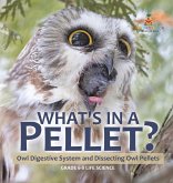 What's in a Pellet? Owl Digestive System and Dissecting Owl Pellets   Grade 6-8 Life Science