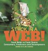 Stuck in a Web! Food Webs vs Food... - Bild 1