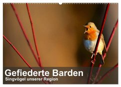 Gefiederte Barden - Singvögel unserer Region (Wandkalender 2025 DIN A2 quer), CALVENDO Monatskalender