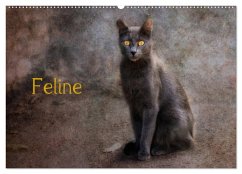 Feline (Wandkalender 2025 DIN A2 quer), CALVENDO Monatskalender - Calvendo;Möckel / Lucy L!u, Claudia