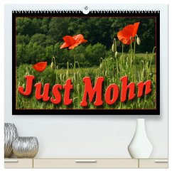 Just Mohn (hochwertiger Premium Wandkalender 2025 DIN A2 quer), Kunstdruck in Hochglanz - Calvendo;Flori0