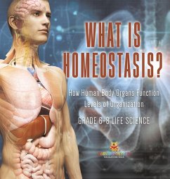 What is Homeostasis? How Human Body Organs Function   Levels of Organization   Grade 6-8 Life Science - Baby