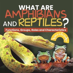 What are Amphibians and Reptiles? Functions, Groups, Roles and Characteristics   Grade 6-8 Life Science - Baby