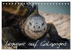 Leguane auf Galapagos (Tischkalender 2025 DIN A5 quer), CALVENDO Monatskalender