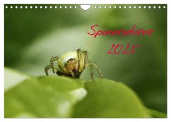 Spinnentiere 2025 (Wandkalender 2025 DIN A4 quer), CALVENDO Monatskalender