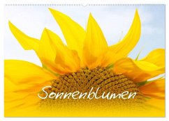 Sonnenblumen - die Blumen der Lebensfreude (Wandkalender 2025 DIN A2 quer), CALVENDO Monatskalender - Calvendo;Ziehr, Maria-Anna