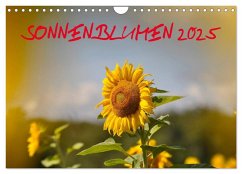 Sonnenblumen 2025 (Wandkalender 2025 DIN A4 quer), CALVENDO Monatskalender - Calvendo;Geduldig, Bildagentur