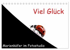 Viel Glück - Marienkäfer im Fotostudio (Tischkalender 2025 DIN A5 quer), CALVENDO Monatskalender